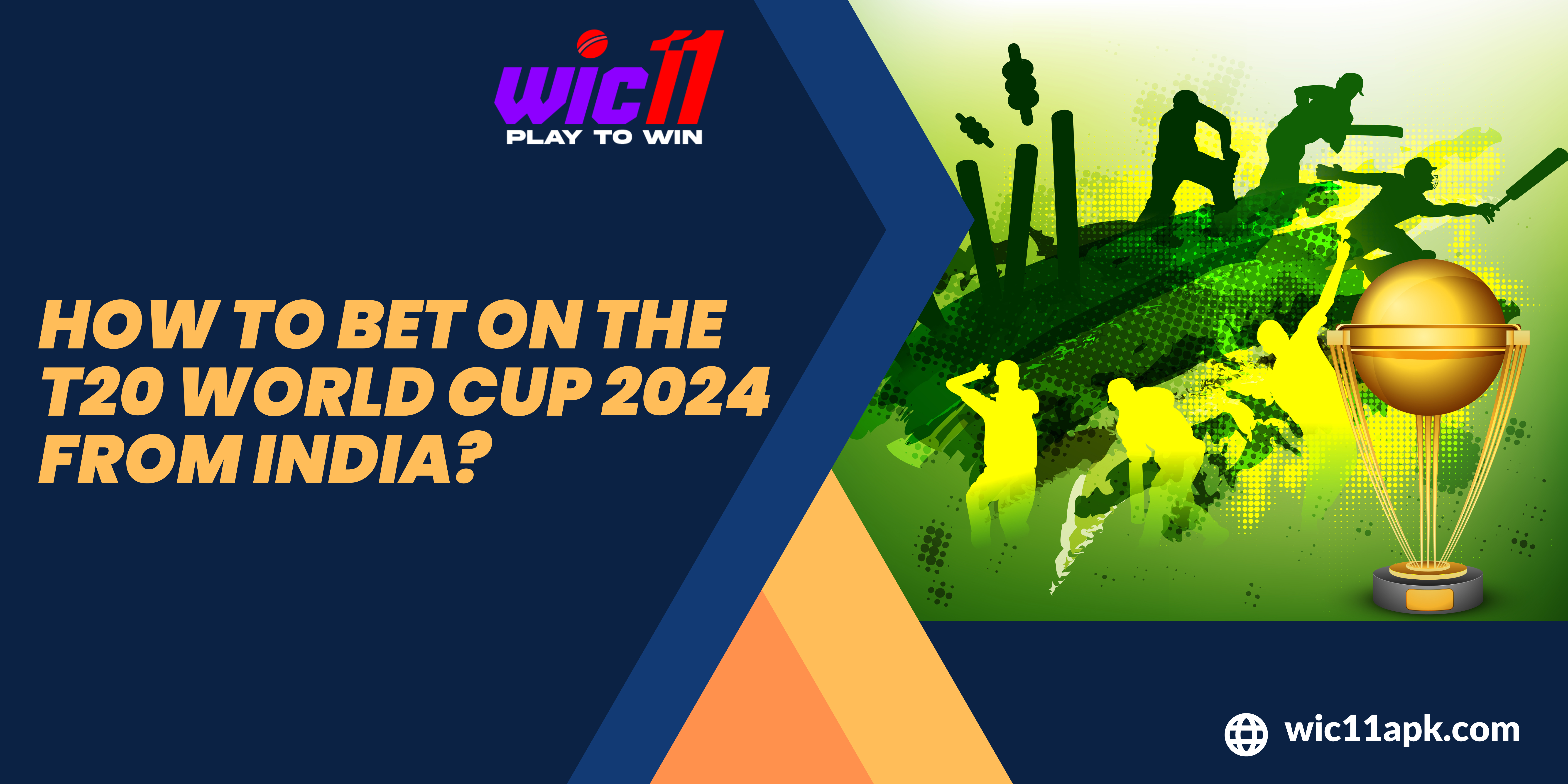 T20 World Cup 2024